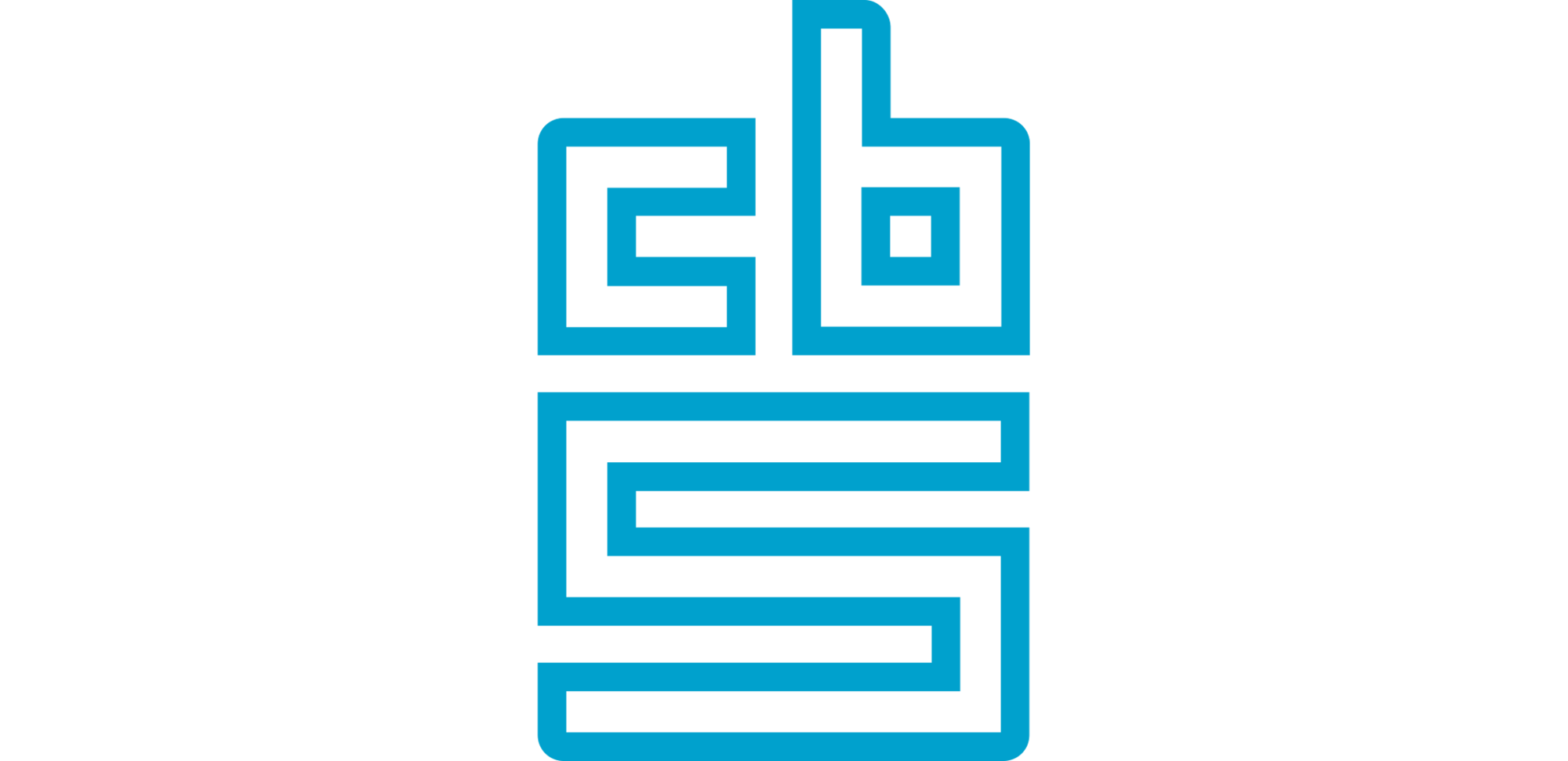 CBS publiceert Review Nationale Studenten Enquête 2019 - Update